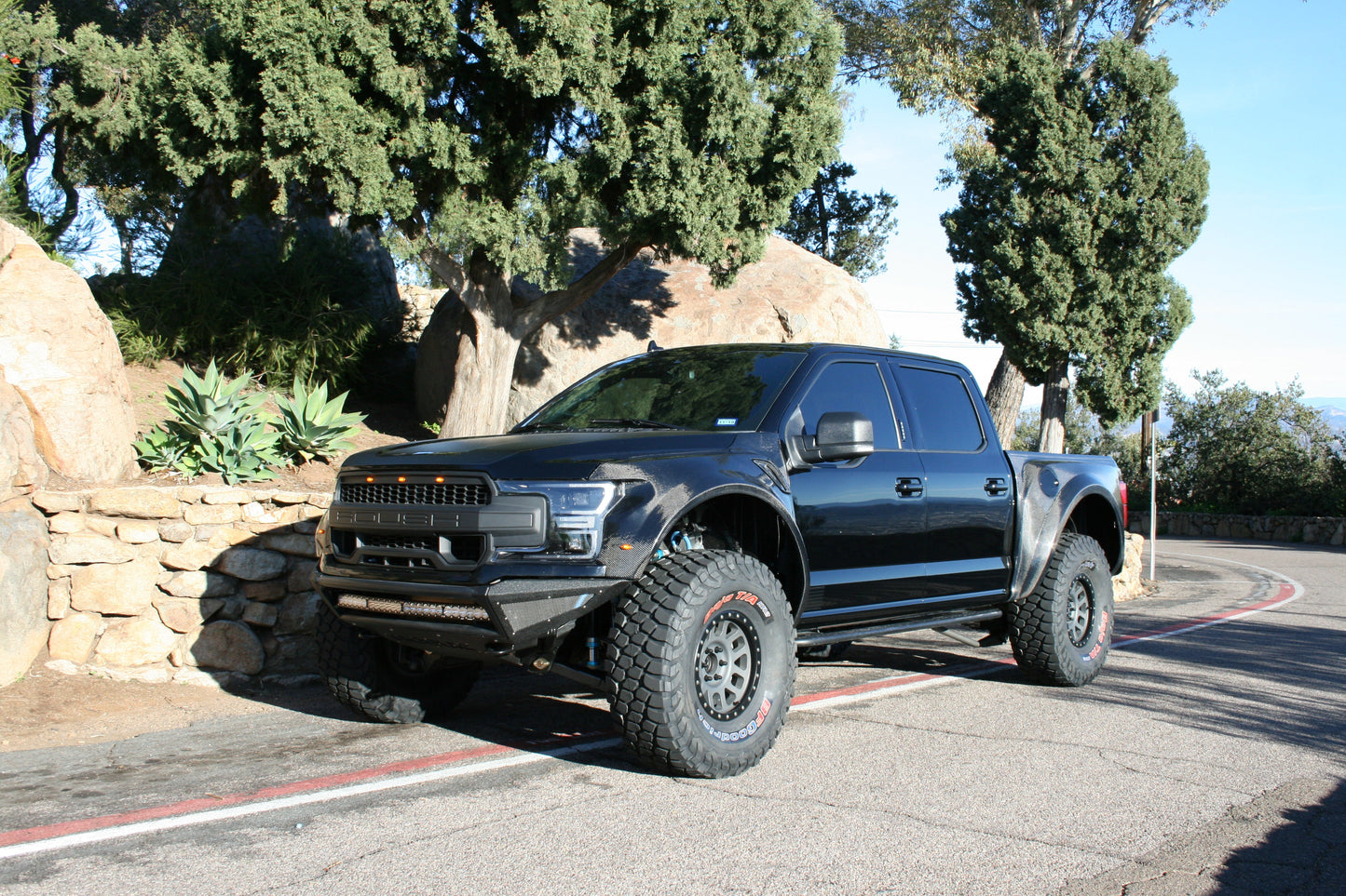 2015-2020 Ford F-150 Deberti Fenders